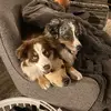 Drew MacEachern - @drew.maceachern - TikTok