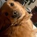 Drew Mackenzie - Facebook