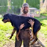 Drew Macleod - @drewmacleod_trick - Instagram