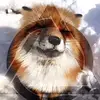 Dylan.drew.Macleod.Nord - @i.hate.my.life226 - TikTok