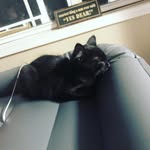 Drew Madden - @drew_arc25 - Instagram