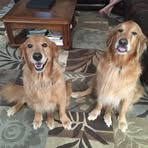Drew Mannes - Facebook