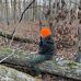 Drew McDaniel - Facebook