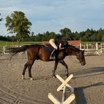 Drew Mcmillan - @drew_eqq - Instagram