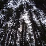Drew McMillan - @telltaleteapot - Instagram