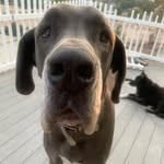 Drew - @drewmiranda68 - Instagram