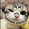 drewmiranda11 - @drewmiranda11 - TikTok