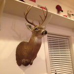 Drew Mizell - @drewmizell_ - Instagram