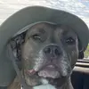 Drew Mooney - @drew_cet - TikTok