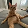 drew - @drewmosb - TikTok