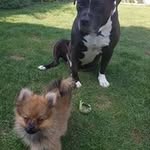 Drew Mosby - @drewmosby - Instagram