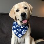 Drew Murray - @_drewmurray_ - Instagram