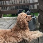 Drew Murray - @drew._.murray - Instagram