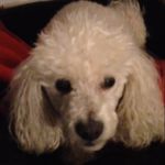 Drew Murray - @drewmurs06 - Instagram