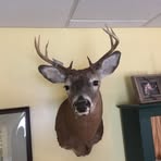 Drew Nagle - Facebook