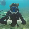 Drew Nagy - @drew.nagy - TikTok