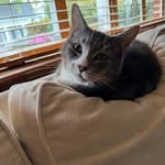 Drew P. Nagy - @ddrewpnagy7 - Instagram