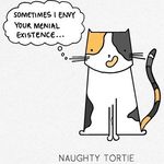 Andrew Coulter Naismith - @coulternaismith - Instagram
