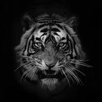 Drew Navarro - Facebook