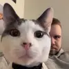 Drew Nicks - @drewnicks - TikTok