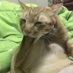 Drew Nickels - @drew.nickels - Instagram