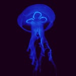 Andrew Nunn - @the_nunnster2017 - Instagram