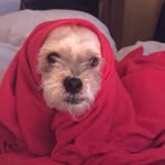 Andrew Nunn - @andrew.nunn.129 - Instagram
