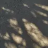 drewsika - @drewsika - TikTok