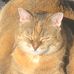 Andrew Ostrander - Facebook