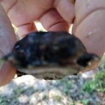 Andrew Ostrander - @ostrander9899 - Instagram