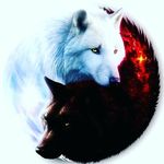 andrew - @ostranderandrew004 - Instagram