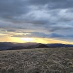 Andrew Page - @drewpage - Instagram