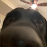 Drew Page - @drewpage2448 - Instagram
