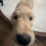Drew Parsons - @drew.parsons5 - Instagram