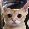 Drewpate - @crtou - TikTok