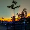 Paul Drew - @paul.drew7 - TikTok