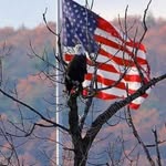 Drew Pease - @drewpy1960 - Instagram