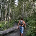 Drew Petersen - @drewpetersend - Instagram