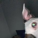 Andrew Plowman - Facebook