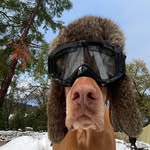 Drew Patrick Potter - @drew_potter222 - Instagram