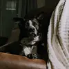 Drew Powers - @drew.powers5 - TikTok