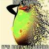 Drew Rios - @lucibootswiththefur - TikTok