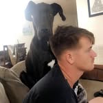 Drew Romig - @insanerome0331 - Instagram