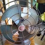 Andrew Rushing - @rushingandrew441 - Instagram