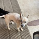 Drew Saenz - @drewsaenz9933 - Instagram
