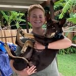 Drew Sage - @drewsage6 - Instagram