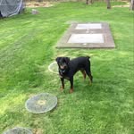 Drew Sampson - @looking_for_great_love - Instagram