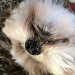Andrew - @andrew.samuelson789 - Instagram