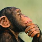 Andrew Samuelson - @andrewsamuelson8848 - Instagram