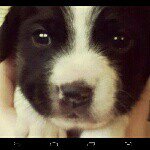 Drew Sandberg - @1v1_bro_ - Instagram